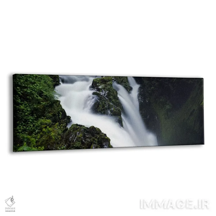 تابلو دکوراتیو Sol Duc Falls, Olympic National Park, Washington State… اثر پانورامیک ایمجز - نمای پرسپکتیو محصول