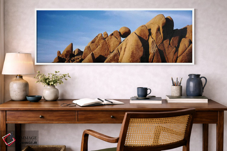 تابلو دکوراتیو Joshua Tree National Park, California, USA,نمای نزدیک ا… اثر پانورامیک ایمجز - D1W