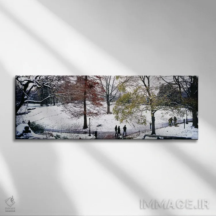 تابلو دکوراتیو Central Park, Manhattan, New York City, New York, USA,ن… اثر پانورامیک ایمجز - نمای روبهرو روی دیوار