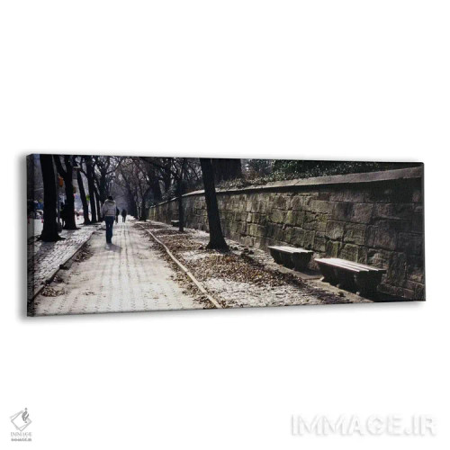 تابلو دکوراتیو Central Park, Manhattan, New York City, New York, USA,ن… اثر پانورامیک ایمجز - نمای پرسپکتیو محصول