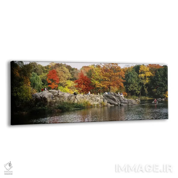 تابلو دکوراتیو Central Park, Manhattan, New York City, New York, USA,ج… اثر پانورامیک ایمجز - نمای پرسپکتیو محصول