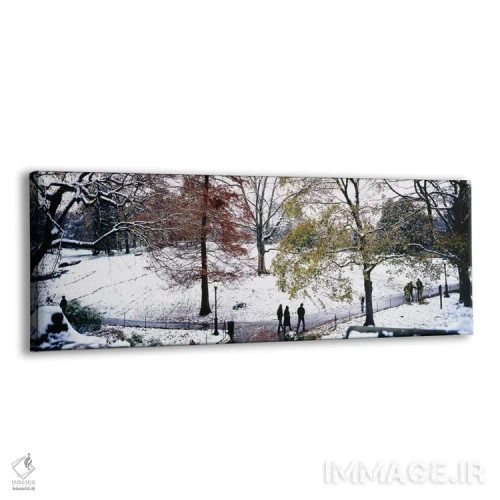 تابلو دکوراتیو Central Park, Manhattan, New York City, New York, USA,ن… اثر پانورامیک ایمجز - نمای پرسپکتیو محصول