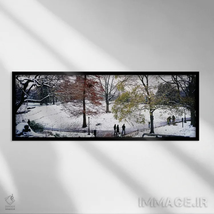 تابلو دکوراتیو Central Park, Manhattan, New York City, New York, USA,ن… اثر پانورامیک ایمجز - نمای قابدار مشکی