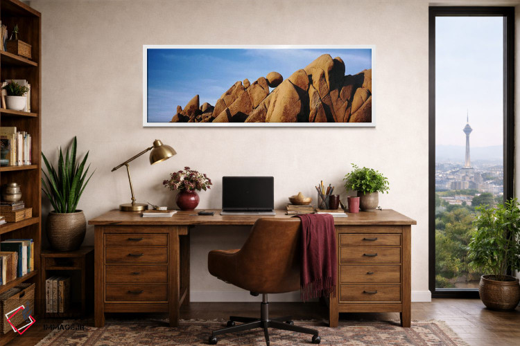 تابلو دکوراتیو Joshua Tree National Park, California, USA,نمای نزدیک ا… اثر پانورامیک ایمجز - D2W