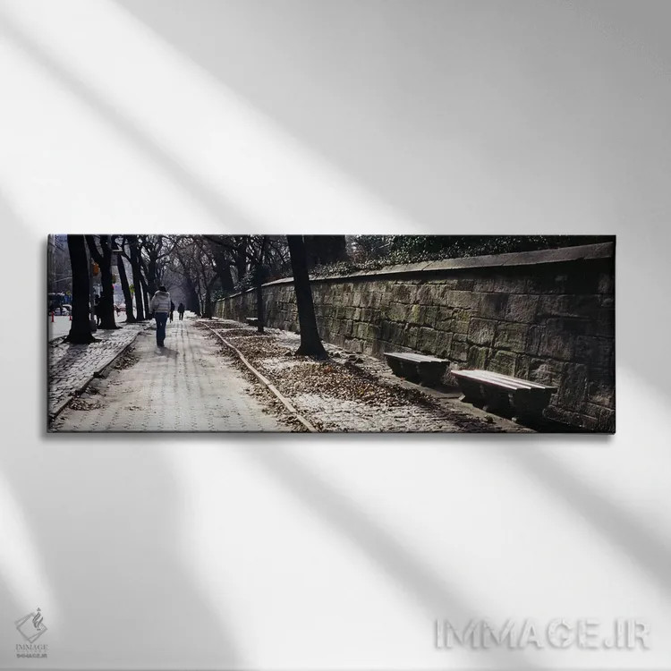 تابلو دکوراتیو Central Park, Manhattan, New York City, New York, USA,ن… اثر پانورامیک ایمجز - نمای روبهرو روی دیوار