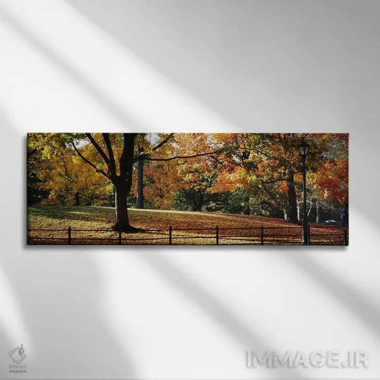 تابلو دکوراتیو Central Park, Manhattan, New York City, New York, USA,د… اثر پانورامیک ایمجز - نمای روبهرو روی دیوار