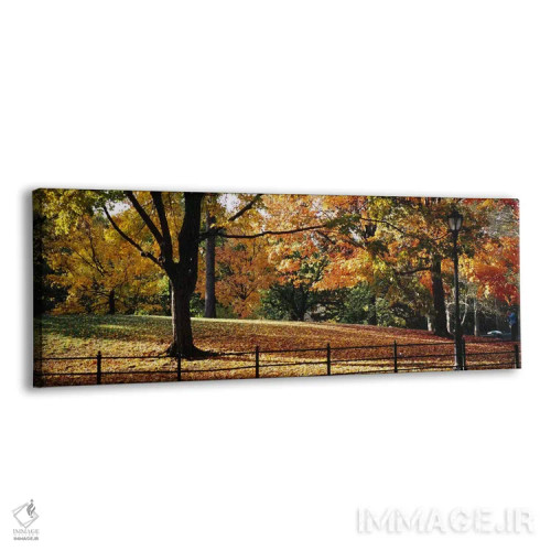 تابلو دکوراتیو Central Park, Manhattan, New York City, New York, USA,د… اثر پانورامیک ایمجز - نمای پرسپکتیو محصول