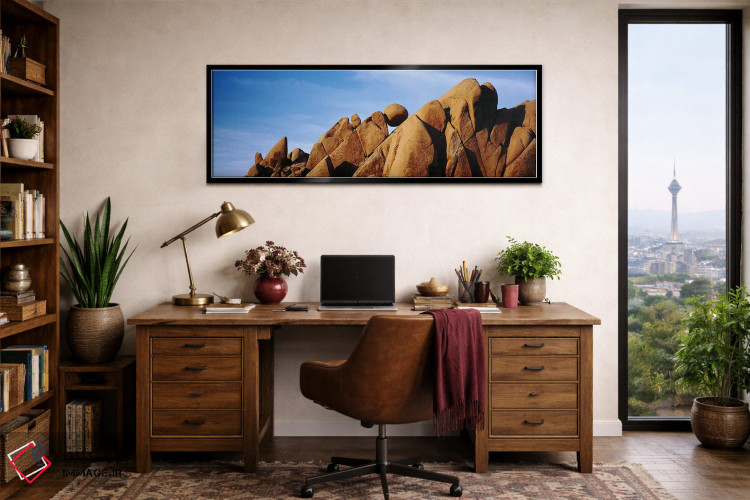 تابلو دکوراتیو Joshua Tree National Park, California, USA,نمای نزدیک ا… اثر پانورامیک ایمجز - D3B