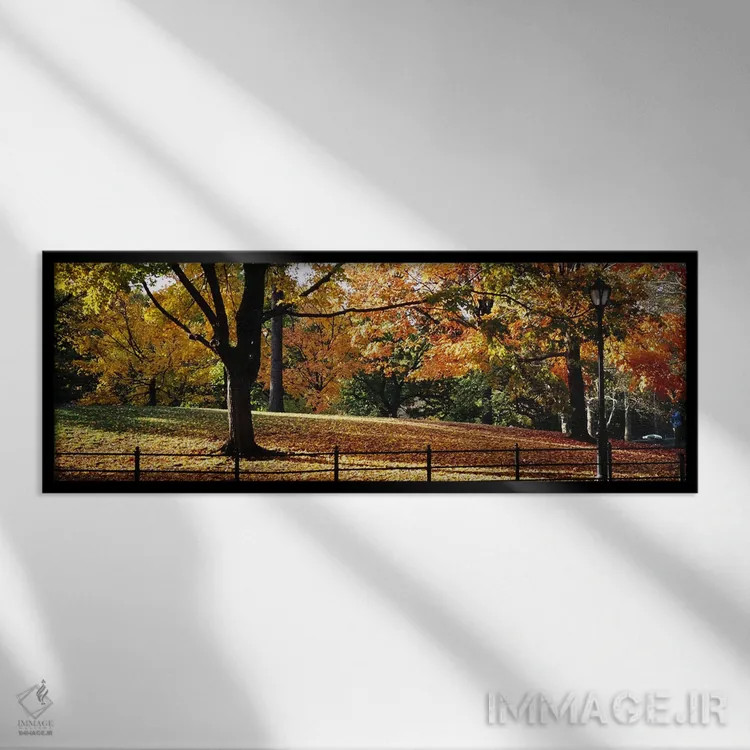 تابلو دکوراتیو Central Park, Manhattan, New York City, New York, USA,د… اثر پانورامیک ایمجز - نمای قابدار مشکی