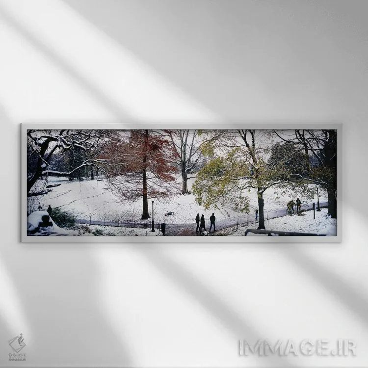 تابلو دکوراتیو Central Park, Manhattan, New York City, New York, USA,ن… اثر پانورامیک ایمجز - نمای قابدار سفید