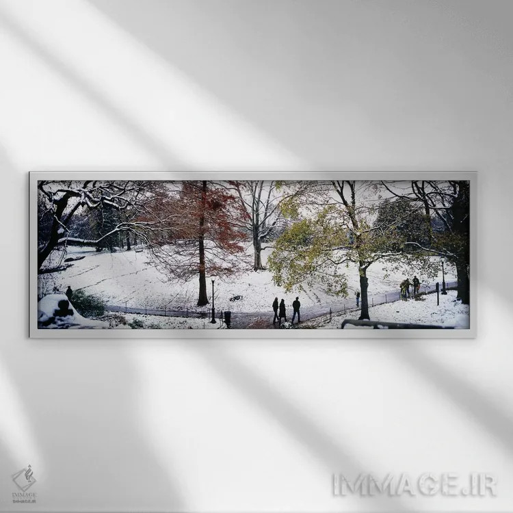 تابلو دکوراتیو Central Park, Manhattan, New York City, New York, USA,ن… اثر پانورامیک ایمجز - نمای قابدار سفید