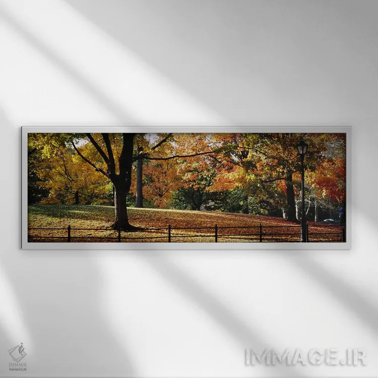 تابلو دکوراتیو Central Park, Manhattan, New York City, New York, USA,د… اثر پانورامیک ایمجز - نمای قابدار سفید