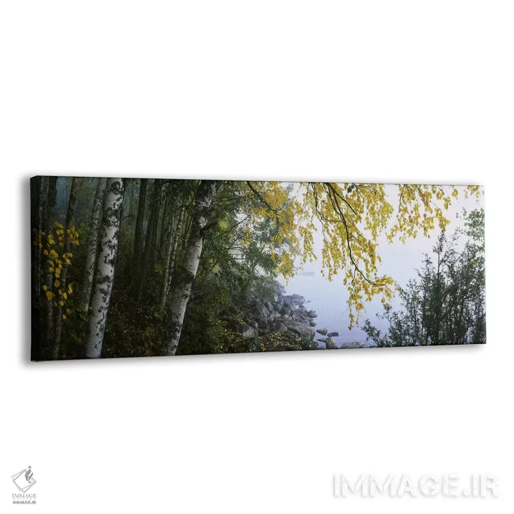 تابلو دکوراتیو Puumala, Southern Savonia, Finland,درختان غان در امتداد… اثر پانورامیک ایمجز - نمای پرسپکتیو محصول