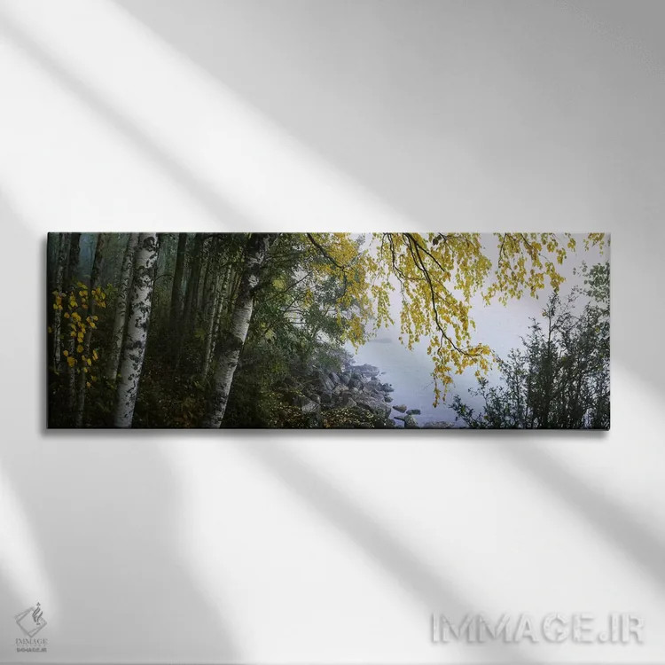 تابلو دکوراتیو Puumala, Southern Savonia, Finland,درختان غان در امتداد… اثر پانورامیک ایمجز - نمای روبهرو روی دیوار