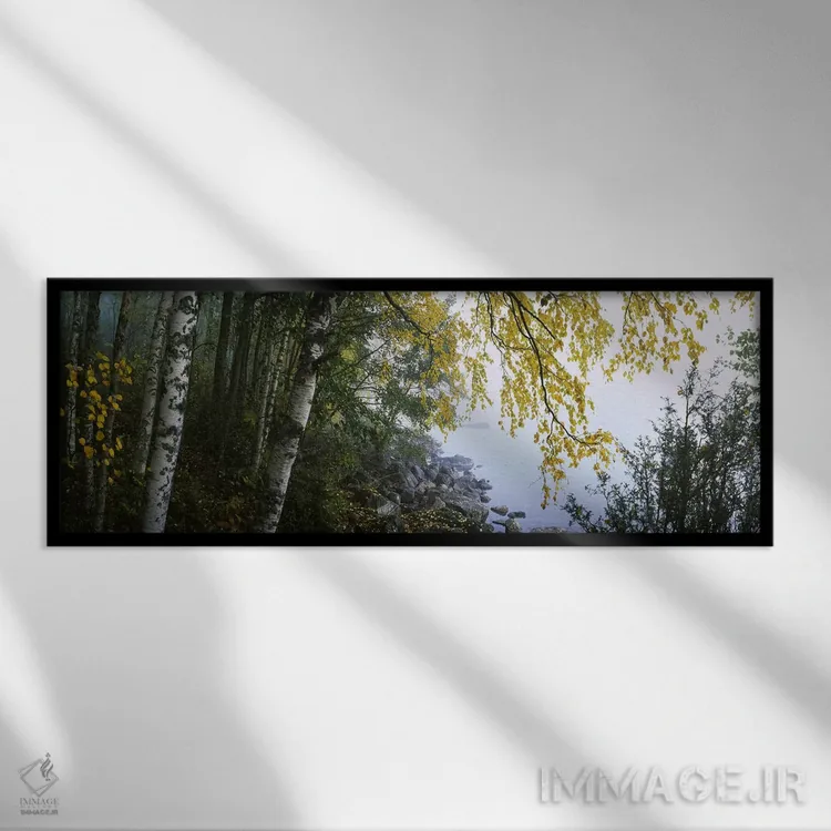 تابلو دکوراتیو Puumala, Southern Savonia, Finland,درختان غان در امتداد… اثر پانورامیک ایمجز - نمای قابدار مشکی