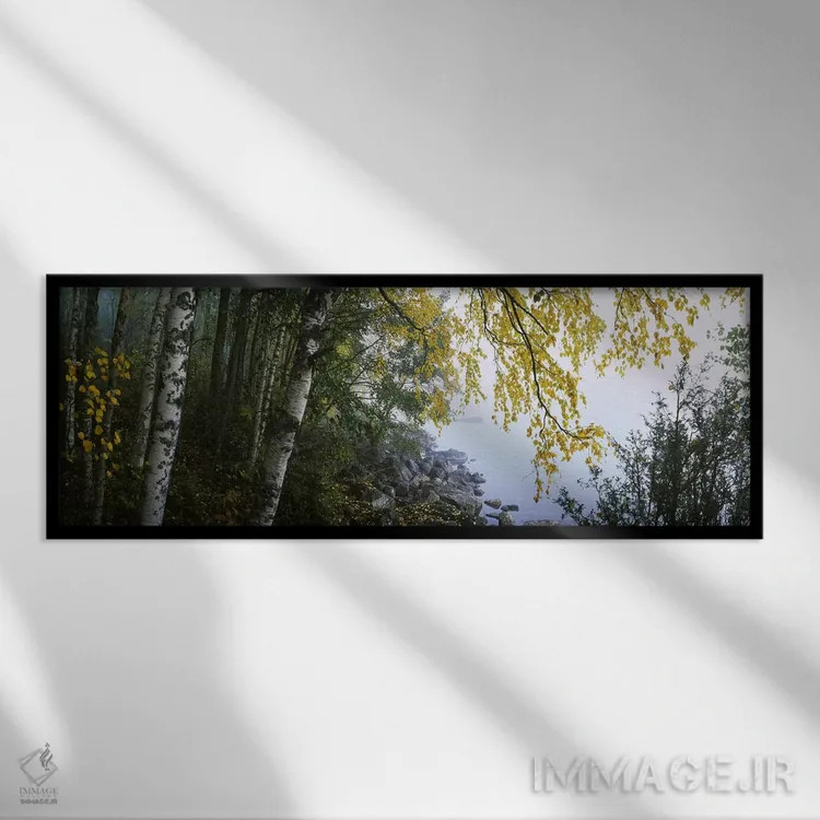 تابلو دکوراتیو Puumala, Southern Savonia, Finland,درختان غان در امتداد… اثر پانورامیک ایمجز - نمای قابدار مشکی
