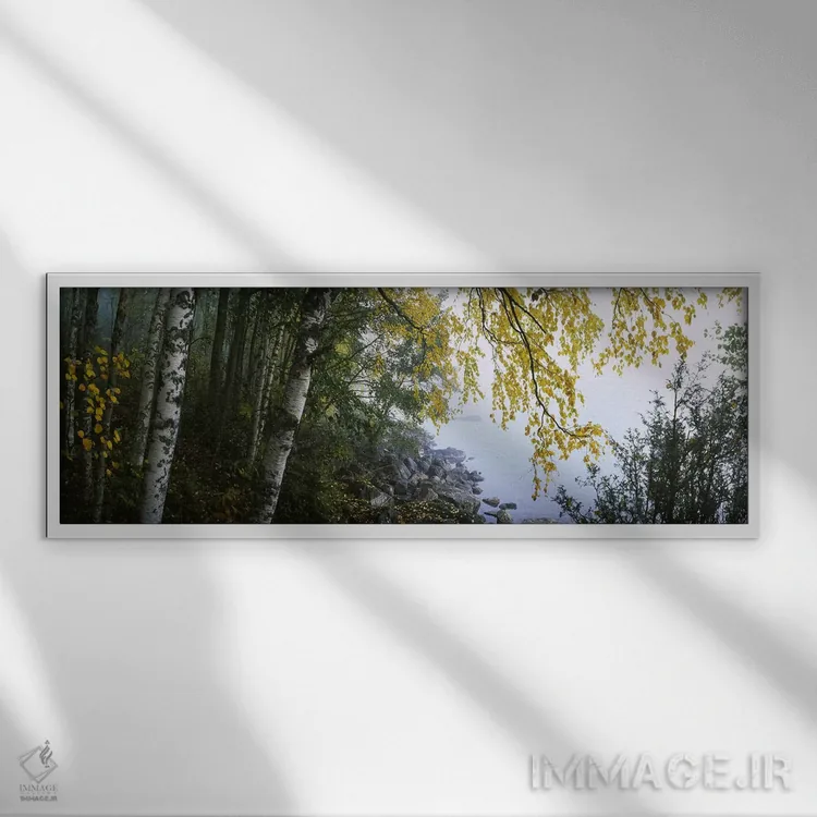 تابلو دکوراتیو Puumala, Southern Savonia, Finland,درختان غان در امتداد… اثر پانورامیک ایمجز - نمای قابدار سفید
