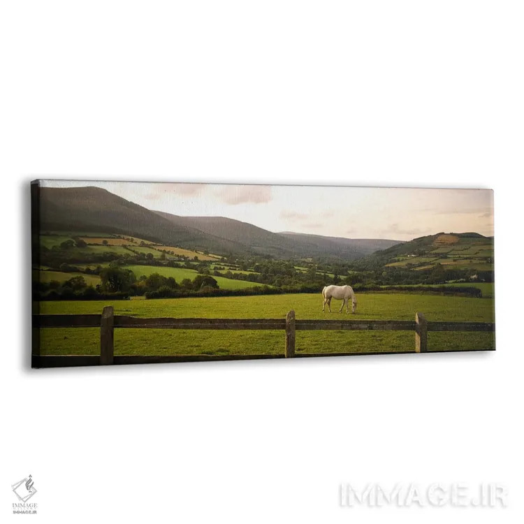تابلو دکوراتیو Enniskerry, County Wicklow, Leinster Province, Republic… اثر پانورامیک ایمجز - نمای پرسپکتیو محصول