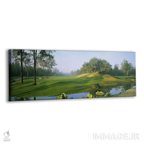 تابلو دکوراتیو 14th & 17th Holes), Haile Plantation Golf And Country C… اثر پانورامیک ایمجز - نمای پرسپکتیو محصول