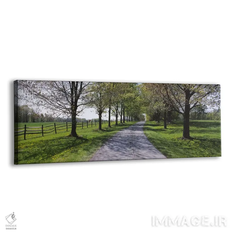 تابلو دکوراتیو Knox Farm State Park, East Aurora, New York State, USA… اثر پانورامیک ایمجز - نمای پرسپکتیو محصول