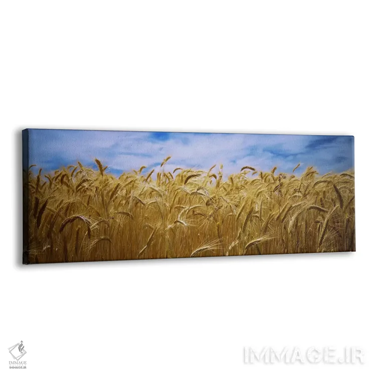 تابلو دکوراتیو Palouse Country, Washington State, USA,محصول گندم در حا… اثر پانورامیک ایمجز - نمای پرسپکتیو محصول