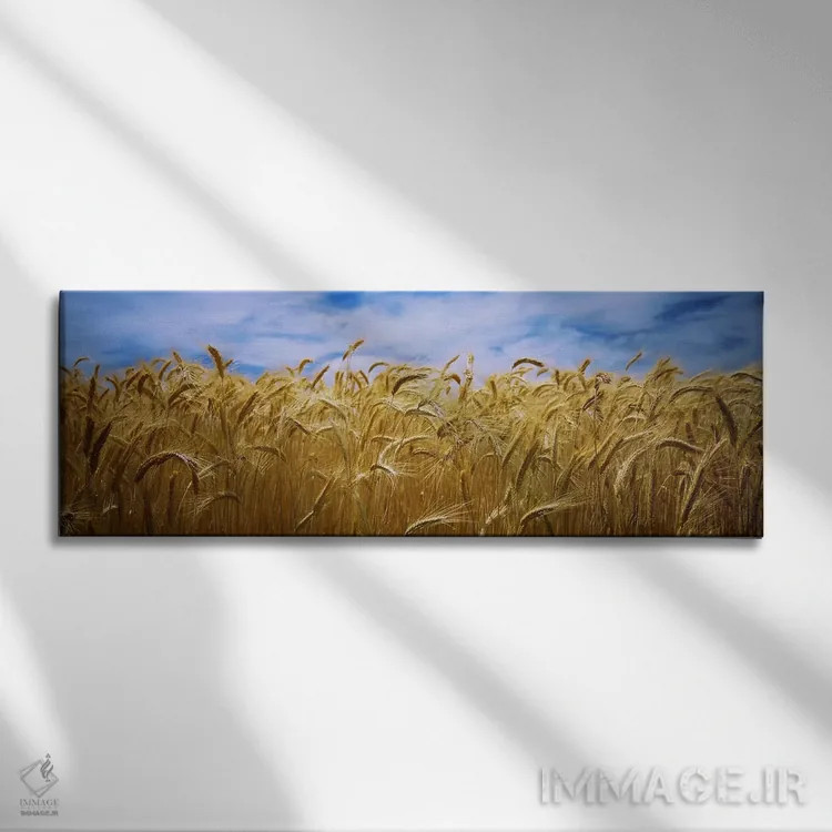 تابلو دکوراتیو Palouse Country, Washington State, USA,محصول گندم در حا… اثر پانورامیک ایمجز - نمای روبهرو روی دیوار