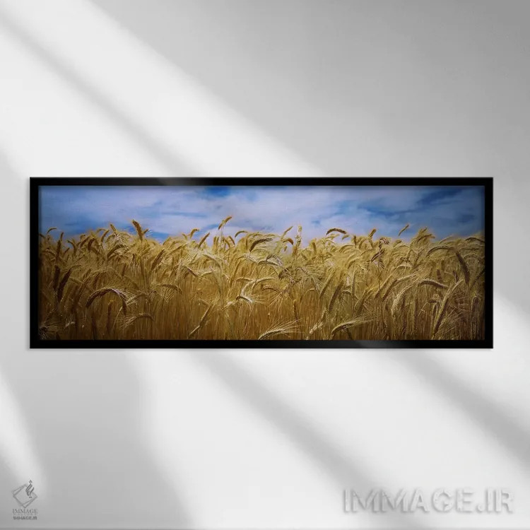 تابلو دکوراتیو Palouse Country, Washington State, USA,محصول گندم در حا… اثر پانورامیک ایمجز - نمای قابدار مشکی