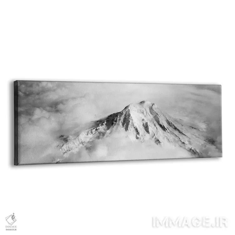 تابلو دکوراتیو Mt Rainier, Mt Rainier National Park, Washington State… اثر پانورامیک ایمجز - نمای پرسپکتیو محصول