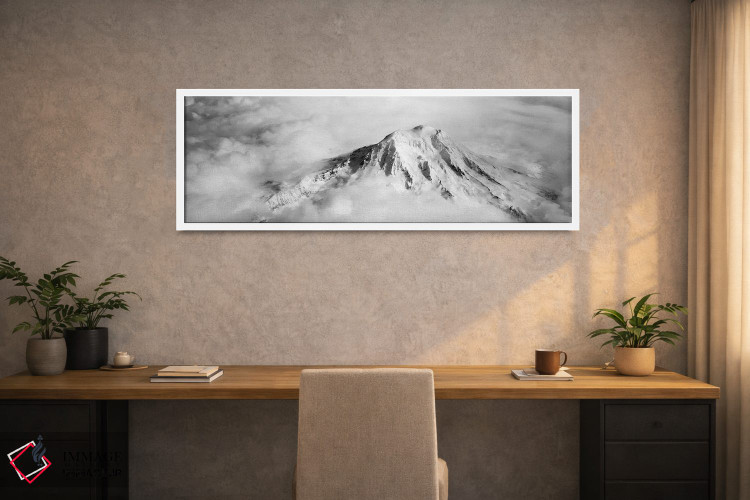 تابلو دکوراتیو Mt Rainier, Mt Rainier National Park, Washington State… اثر پانورامیک ایمجز - D1W