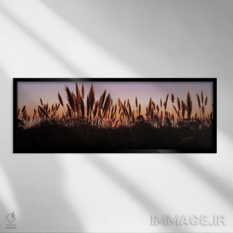 تابلو دکوراتیو Big Sur, California, USA,سایه علف ها در یک دشت هنگام غر… اثر پانورامیک ایمجز - نمای قابدار مشکی