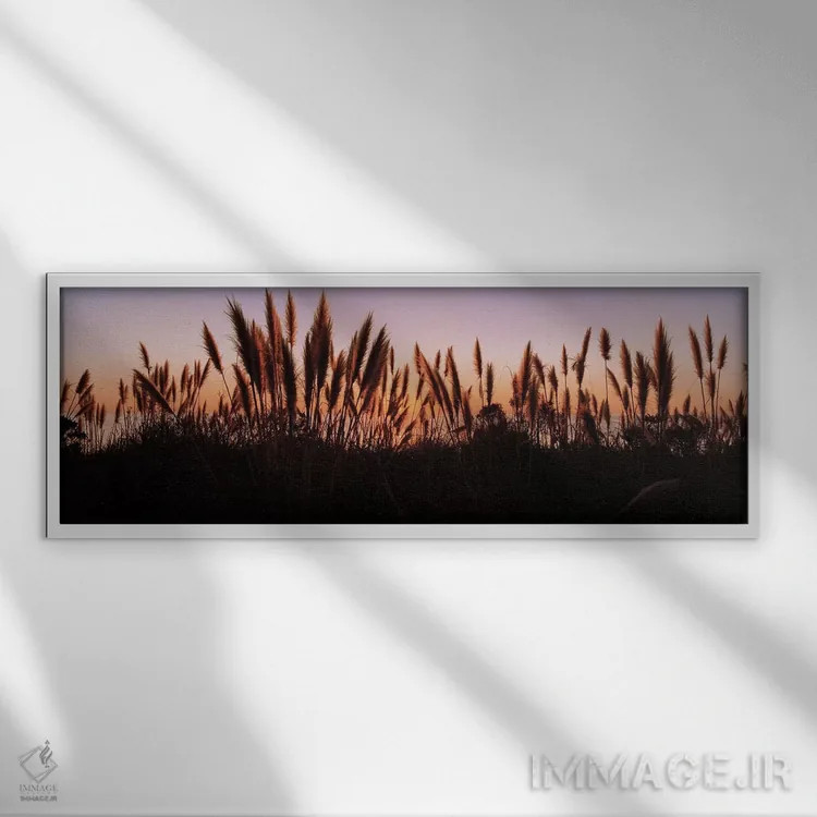 تابلو دکوراتیو Big Sur, California, USA,سایه علف ها در یک دشت هنگام غر… اثر پانورامیک ایمجز - نمای قابدار سفید