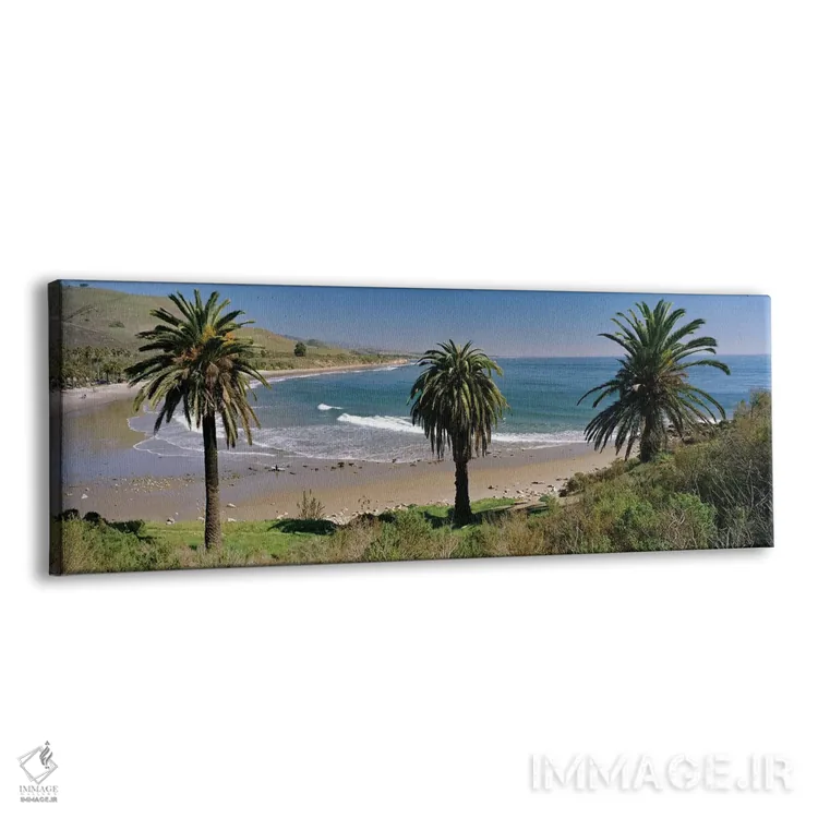 تابلو دکوراتیو Refugio State Beach, Santa Barbara, California, USA,منظ… اثر پانورامیک ایمجز - نمای پرسپکتیو محصول