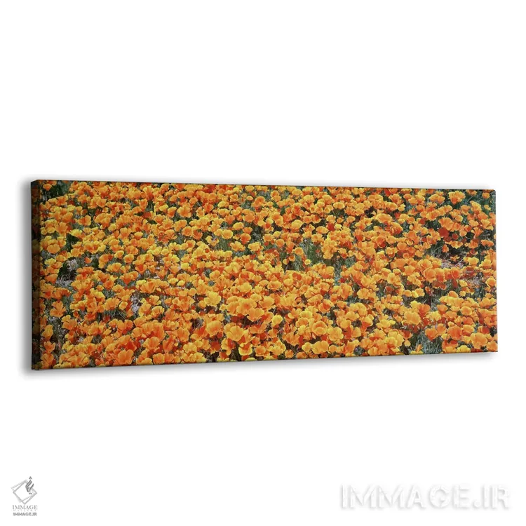 تابلو دکوراتیو Antelope Valley California Poppy Reserve, Los Angelese… اثر پانورامیک ایمجز - نمای پرسپکتیو محصول