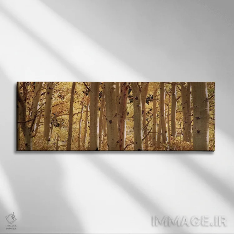 تابلو دکوراتیو Rock Creek Lake, California, USA,درختان صنوبر کوهی در ج… اثر پانورامیک ایمجز - نمای روبهرو روی دیوار