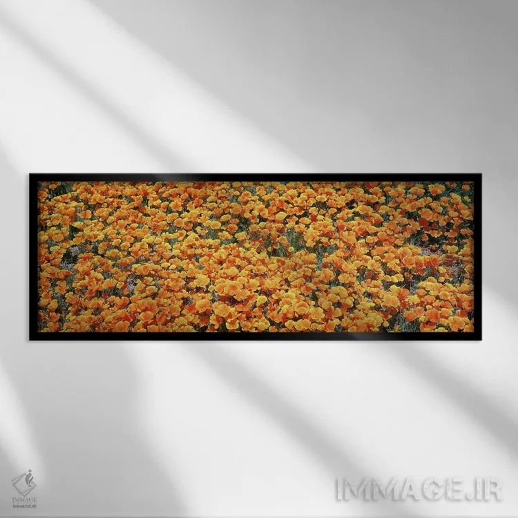 تابلو دکوراتیو Antelope Valley California Poppy Reserve, Los Angelese… اثر پانورامیک ایمجز - نمای قابدار مشکی