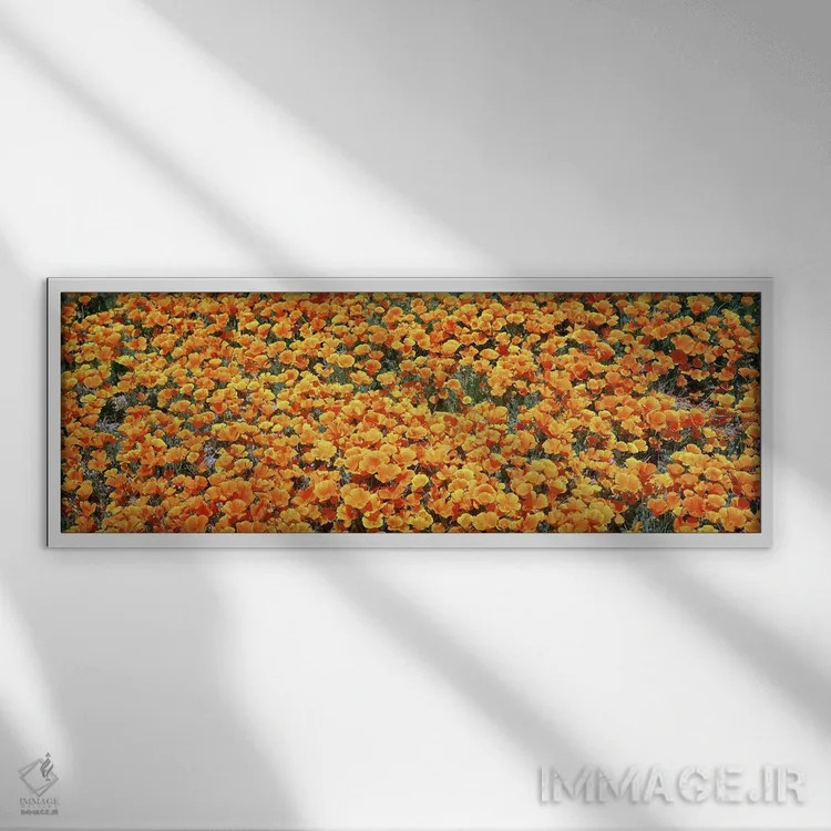 تابلو دکوراتیو Antelope Valley California Poppy Reserve, Los Angelese… اثر پانورامیک ایمجز - نمای قابدار سفید