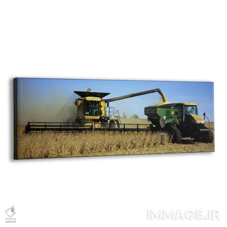 تابلو دکوراتیو Minnesota, USA,کمباین برداشت سویا در حال کار، مینه سوتا… اثر پانورامیک ایمجز - نمای پرسپکتیو محصول