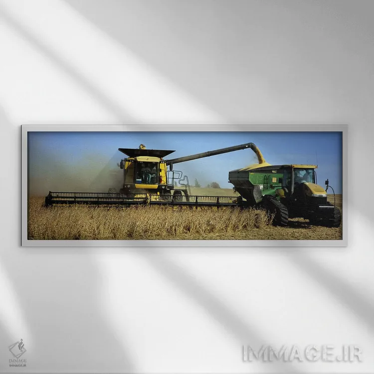 تابلو دکوراتیو Minnesota, USA,کمباین برداشت سویا در حال کار، مینه سوتا… اثر پانورامیک ایمجز - نمای قابدار سفید