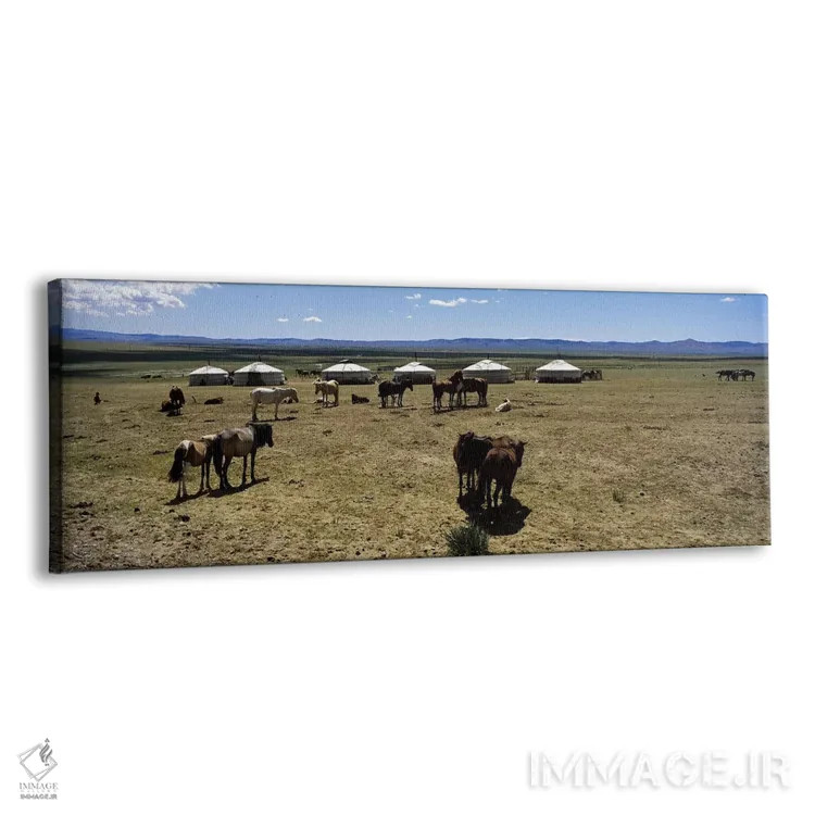 تابلو دکوراتیو Independent Mongolia,گروهی از اسب ها و یورت ها در دشتی… اثر پانورامیک ایمجز - نمای پرسپکتیو محصول