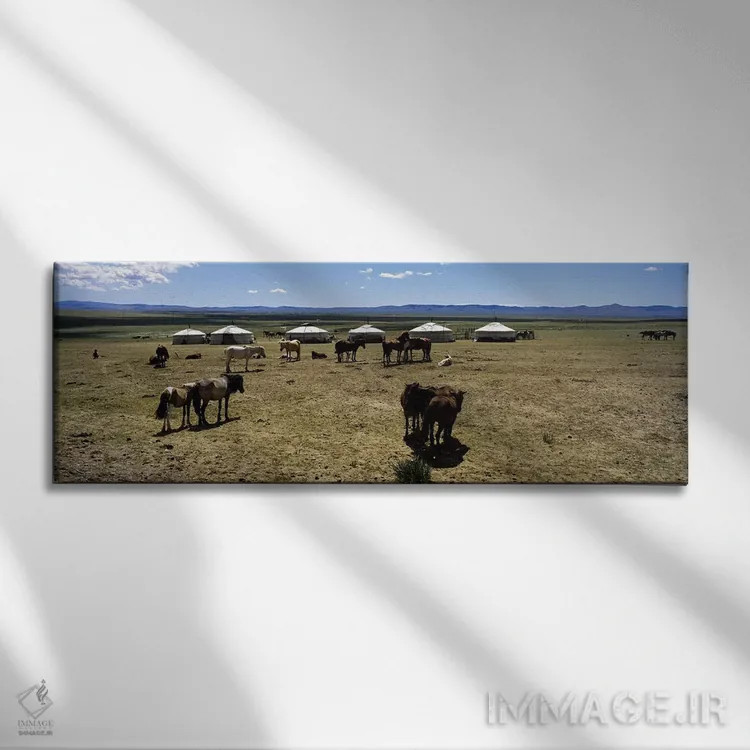 تابلو دکوراتیو Independent Mongolia,گروهی از اسب ها و یورت ها در دشتی… اثر پانورامیک ایمجز - نمای روبهرو روی دیوار