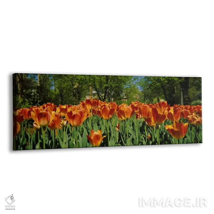 تابلو دکوراتیو Sherwood Gardens, Baltimore, Maryland, USA #2,گل های لا… اثر پانورامیک ایمجز - نمای پرسپکتیو محصول