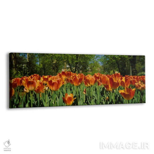 تابلو دکوراتیو Sherwood Gardens, Baltimore, Maryland, USA #2,گل های لا… اثر پانورامیک ایمجز - نمای پرسپکتیو محصول