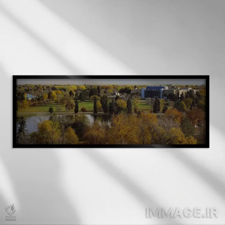 تابلو دکوراتیو Denver, Colorado, USA,نمای بالا از درختان، دنور، کلرادو… اثر پانورامیک ایمجز - نمای قابدار مشکی