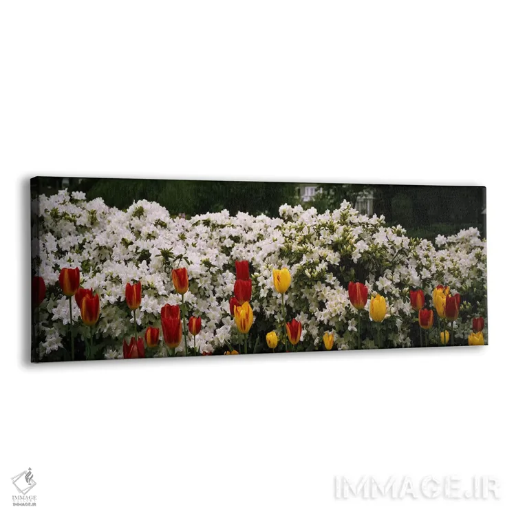 تابلو دکوراتیو Sherwood Gardens, Baltimore, Maryland, USA,گل ها در باغ… اثر پانورامیک ایمجز - نمای پرسپکتیو محصول