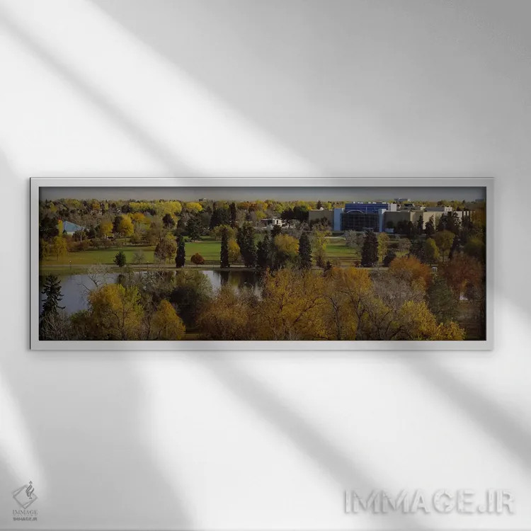 تابلو دکوراتیو Denver, Colorado, USA,نمای بالا از درختان، دنور، کلرادو… اثر پانورامیک ایمجز - نمای قابدار سفید