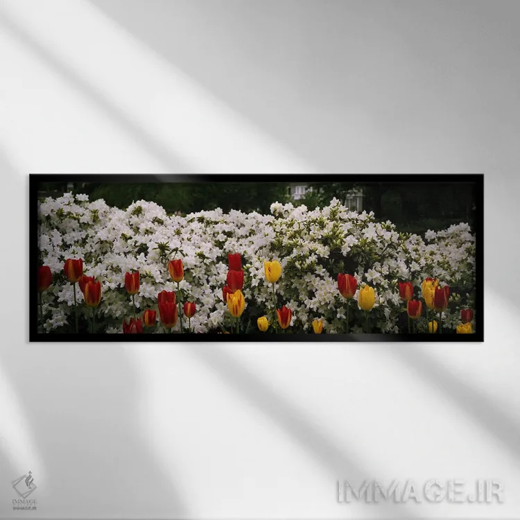 تابلو دکوراتیو Sherwood Gardens, Baltimore, Maryland, USA,گل ها در باغ… اثر پانورامیک ایمجز - نمای قابدار مشکی