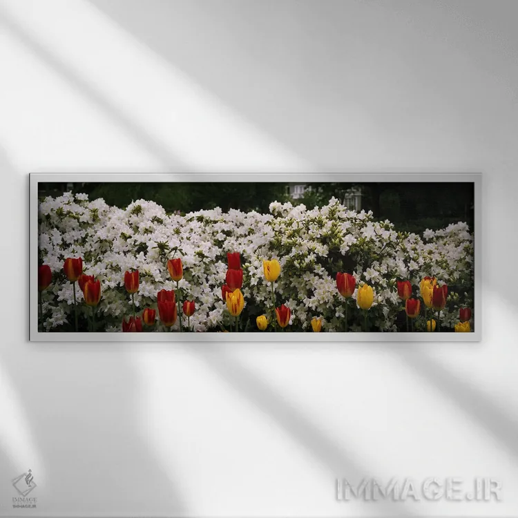 تابلو دکوراتیو Sherwood Gardens, Baltimore, Maryland, USA,گل ها در باغ… اثر پانورامیک ایمجز - نمای قابدار سفید