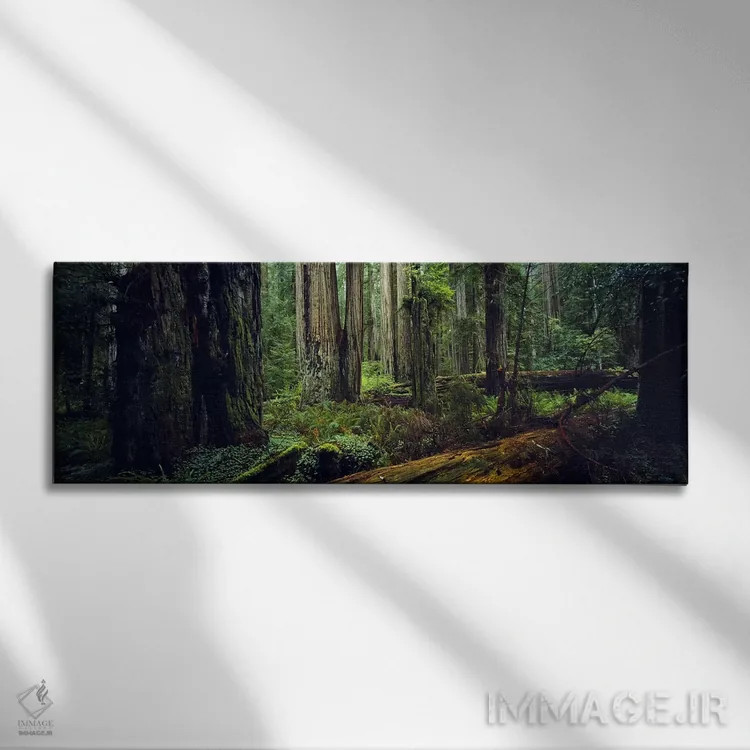 تابلو دکوراتیو Hoh Rainforest, Olympic National Park, Washington State… اثر پانورامیک ایمجز - نمای روبهرو روی دیوار