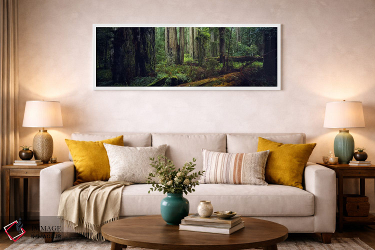 تابلو دکوراتیو Hoh Rainforest, Olympic National Park, Washington State… اثر پانورامیک ایمجز - D1W