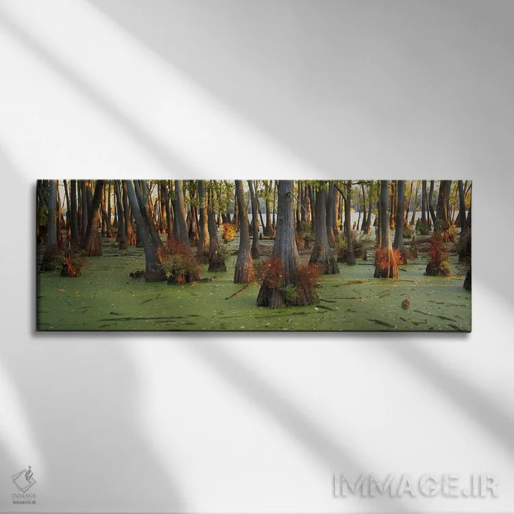 تابلو دکوراتیو Illinois, USA,درختان سرو کچل در جنگل، ایلی نویز، آمریکا اثر پانورامیک ایمجز - نمای روبهرو روی دیوار